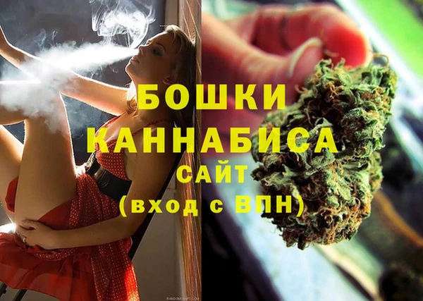 стафф Майский