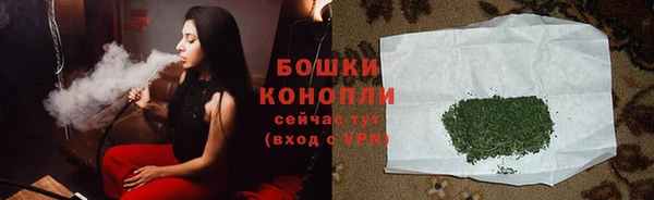дурь Мегион