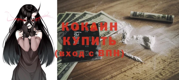 кокс Арсеньев