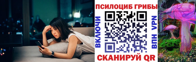Псилоцибиновые грибы ЛСД  даркнет сайт  Бикин 
